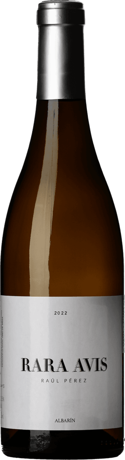En glasflaska med Sabelli-Frisch Wines Anchia Zinfandel Stampede 2022, ett vitt vin från Kastilien-León i Spanien