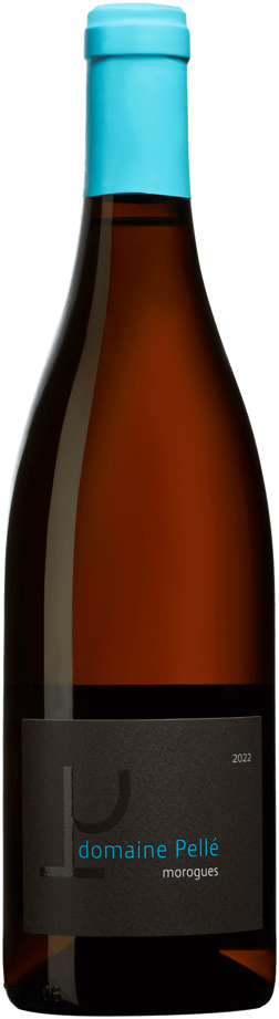En glasflaska med Domaine Pellé Menetou-Salon Morogues Blanc 2022, ett vitt vin från Loiredalen i Frankrike