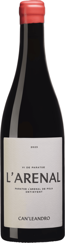 En glasflaska med Avignonesi Vino Nobile di Montepulciano 2019, ett rött vin från Spanien