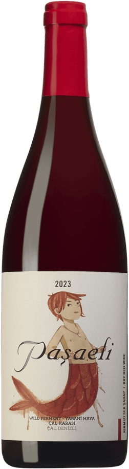 En glasflaska med Pasaeli Merman Wild Fermented Cal Karasi 2023, ett rött vin från Turkiet