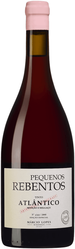 En lättare glasflaska med Jean Fournier Clos du Roy Marsannay Rouge 2021, ett rött vin från Vinho Verde i Portugal
