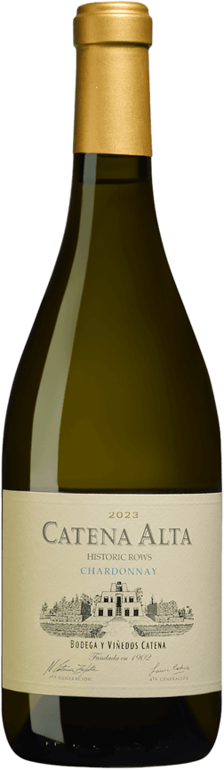 En glasflaska med Catena Alta Chardonnay 2023, ett vitt vin från Cuyo i Argentina